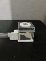 IMG_2663.jpeg