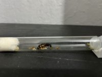 IMG_2660.jpeg