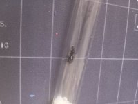 IMG_20260827_082753.jpg