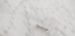20260829_135252.jpg