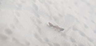 20260829_135251.jpg
