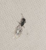 IMG_20260829_224319.jpg