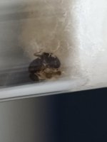 IMG_20260829_115749.jpg