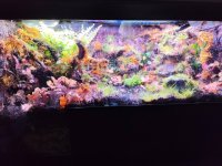 IMG_0395.jpeg