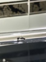 IMG_8159.jpeg