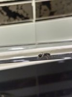 IMG_8160.jpeg