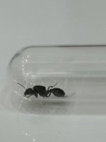 IMG_8169.jpeg