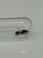 IMG_8166.jpeg