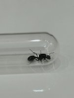 IMG_8165.jpeg
