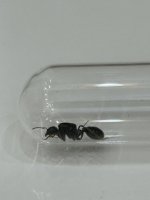 IMG_8168.jpeg