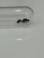 IMG_8167.jpeg
