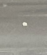 IMG_4115.jpeg