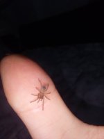 20260902_001248.jpg