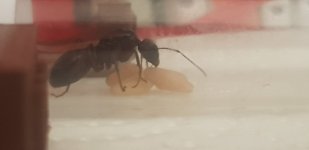20260903_133544.jpg