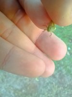 MVIMG_20260903_171644.jpg