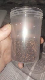 IMG-20260903-WA0072.jpeg