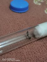 IMG_20260828_194801.jpg