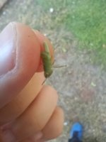 MVIMG_20260903_171629.jpg