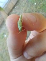 MVIMG_20260903_171632.jpg