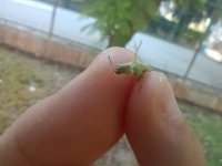 MVIMG_20260903_171635.jpg