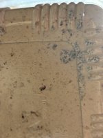 IMG_7981.jpeg