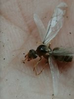 IMG_20260807_164635.jpg