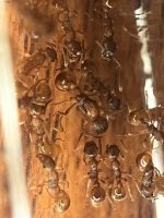 IMG_6875.jpeg
