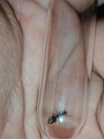 IMG_20260905_224257.jpg