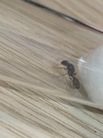 IMG_4112.jpeg