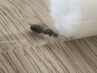 IMG_4104.jpeg