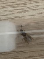 IMG_4102.jpeg