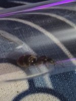 20260906_214727.jpg