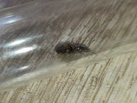 IMG20260906150913.jpg