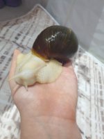 IMG_9306.jpeg