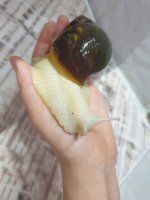 IMG_9305.jpeg