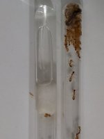 IMG_20260907_200304.jpg