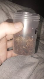 IMG-20260908-WA0020.jpeg