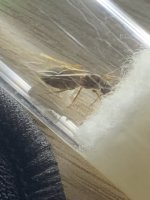 IMG_4128.jpeg