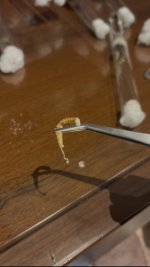 IMG_8139.jpeg