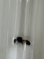 IMG_8365.jpeg