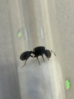 IMG_8364.jpeg