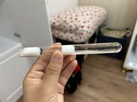IMG_8367.jpeg