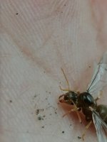 IMG_20260807_164608.jpg