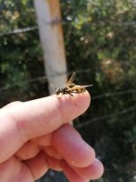 IMG_20260803_152303.jpg