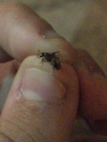 IMG_20260801_220035.jpg