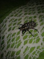 IMG_20260722_093528.jpg