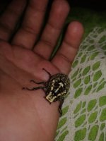 IMG_20260722_093507.jpg