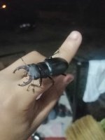 IMG_20260720_203918.jpg