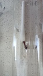 IMG_20260912_140753.jpg