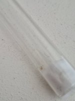 20260913_113626.jpg